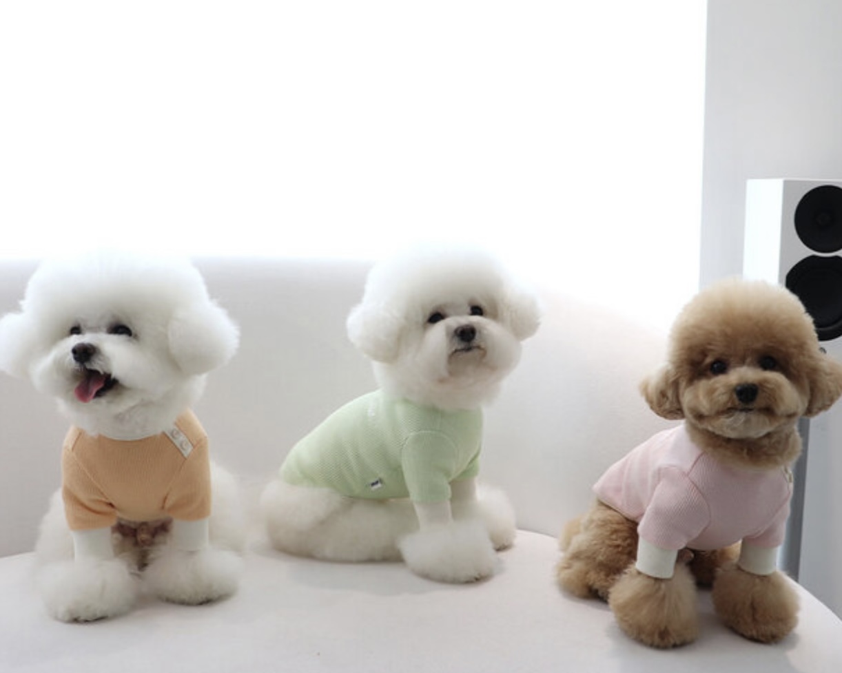 Sherbet Waffle T-Shirt (Pink)