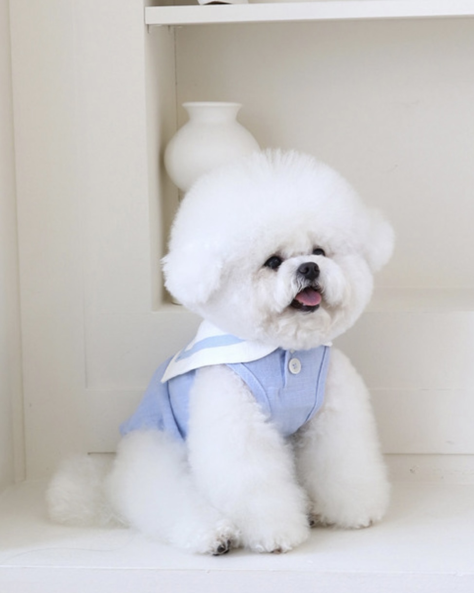 Pastel Linen Cape Top (Blue)