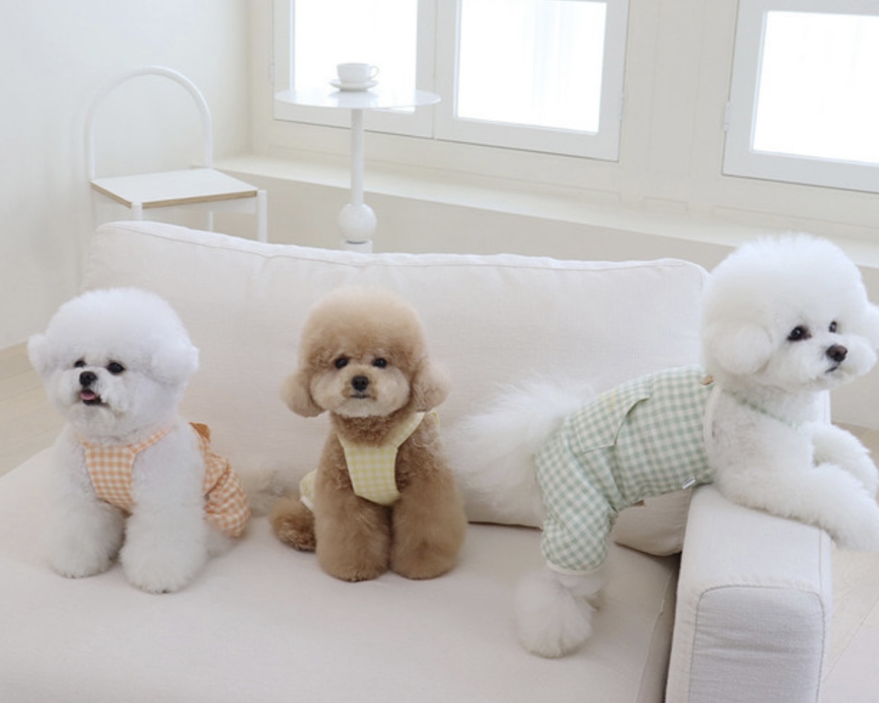 Chiot Together Check All in One Overall (Yellow)