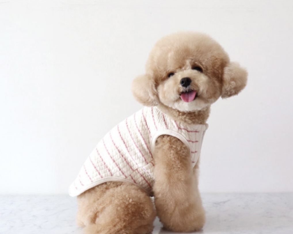 Chiot Bebe Cream Quilted Zip-Up Vest (Pink)