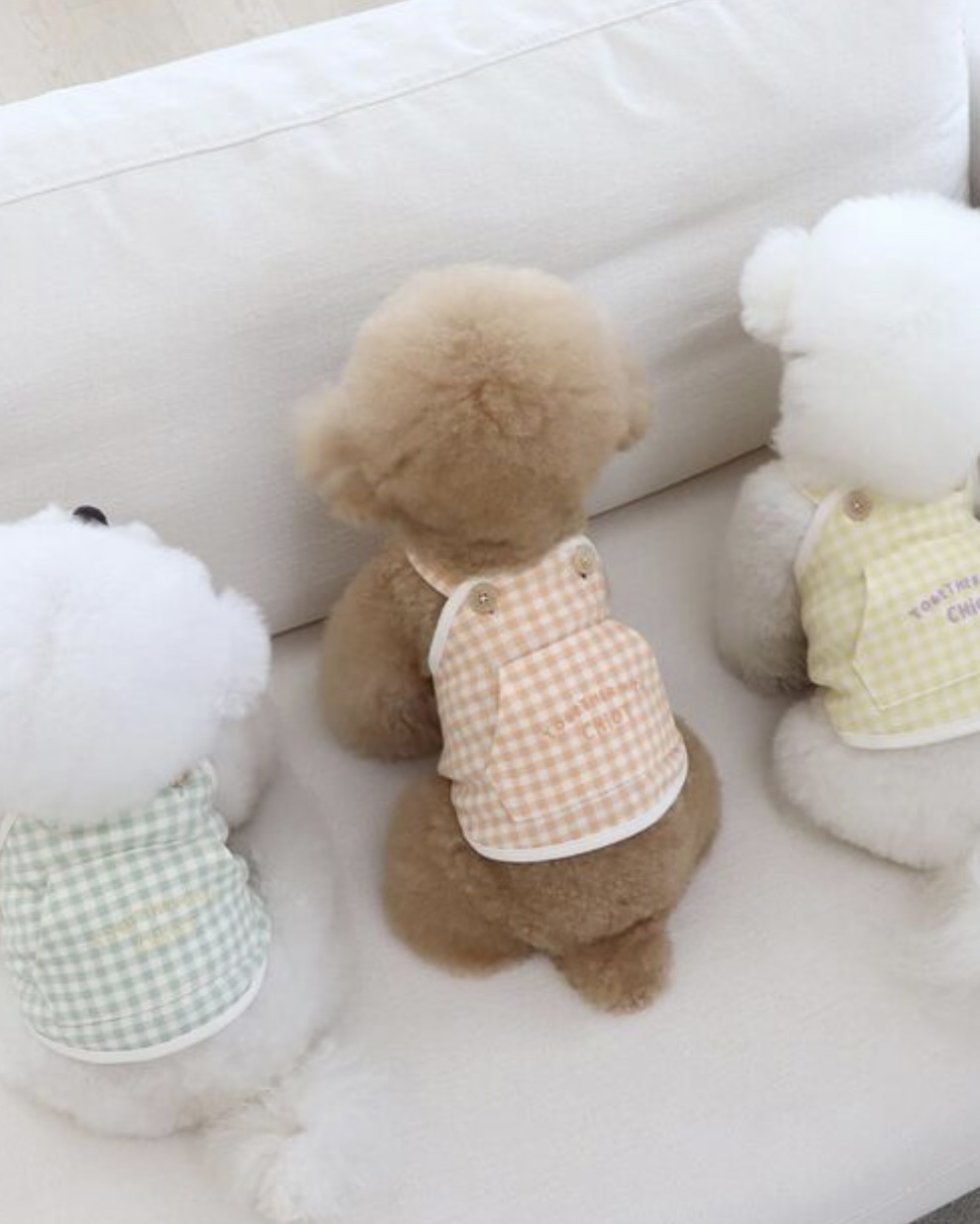 Chiot Together Check Crop Top Overall (Yellow)