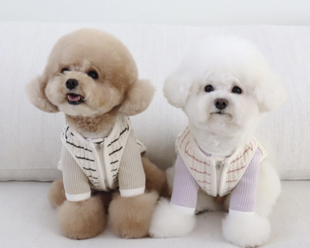 Chiot Bebe Cream Quilted Zip-Up Vest (Pink)