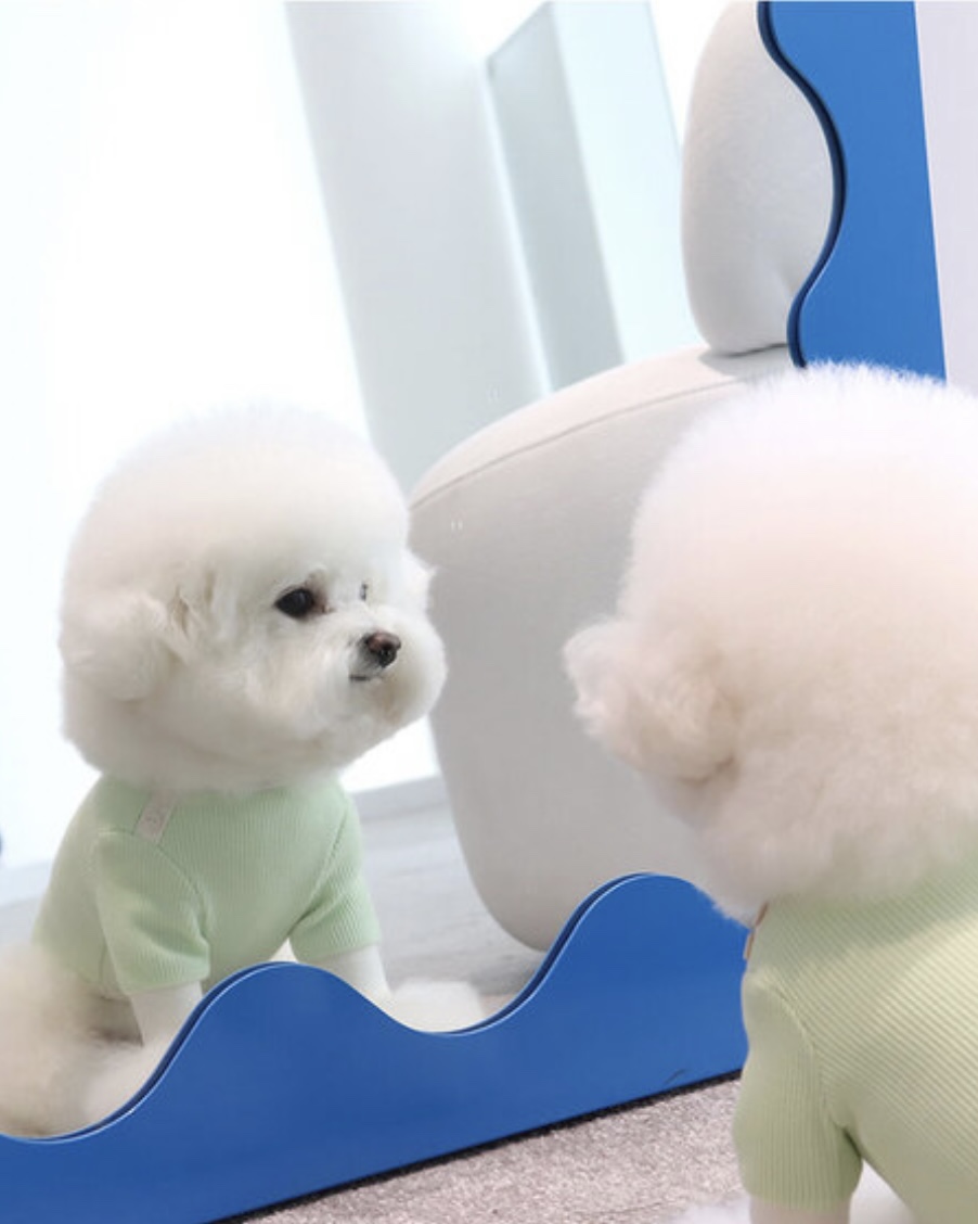 Sherbet Waffle T-Shirt (Milk Green)