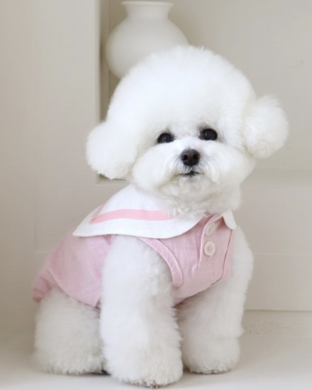 Pastel Linen Cape Top (Pink)