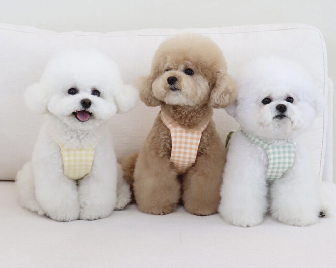 Together Check Crop Top Overall (Orange)