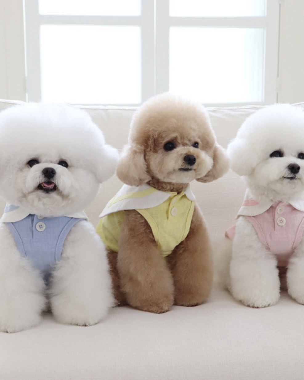 Pastel Linen Cape Top (Blue)