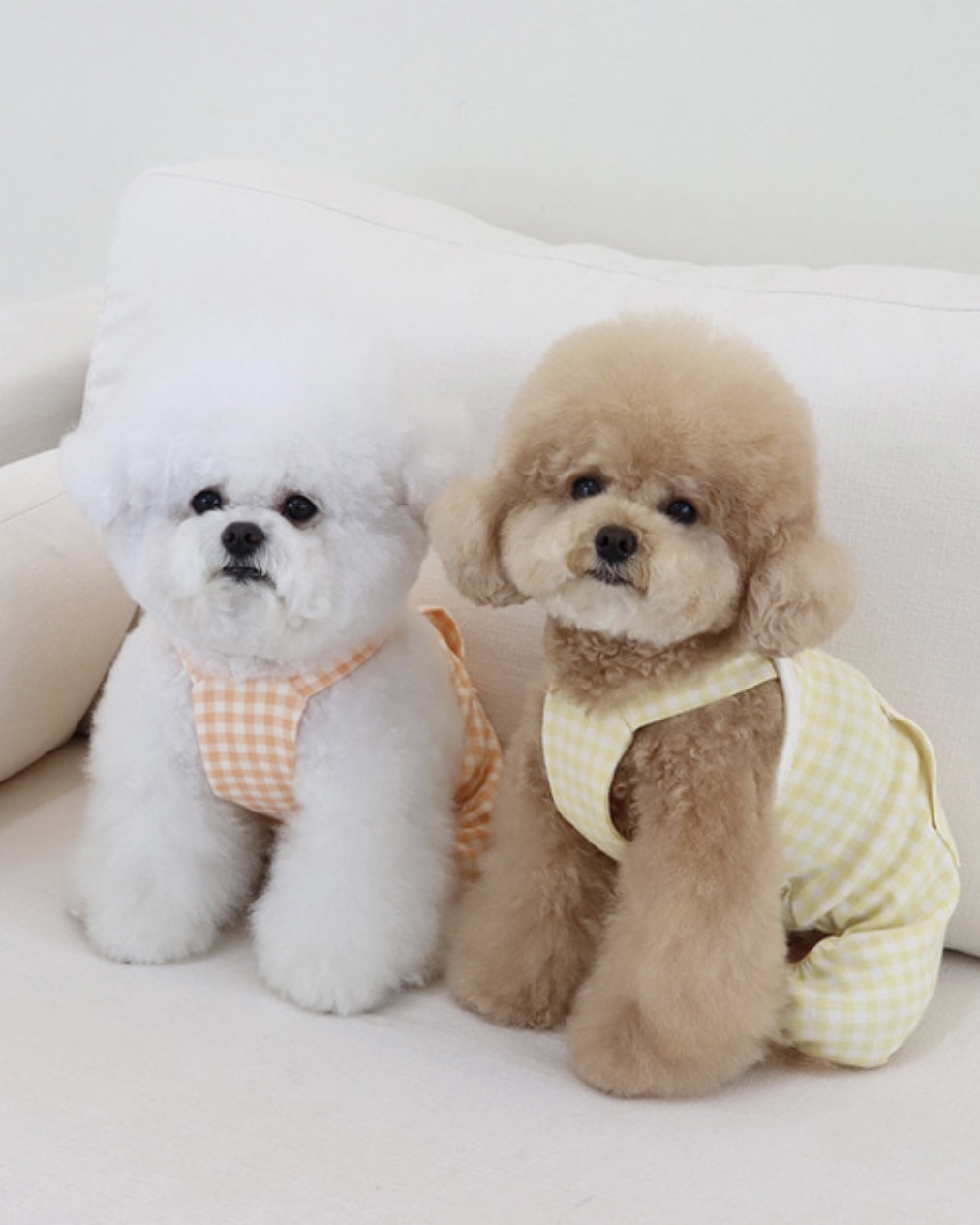 Chiot Together Check All in One Overall (Yellow)