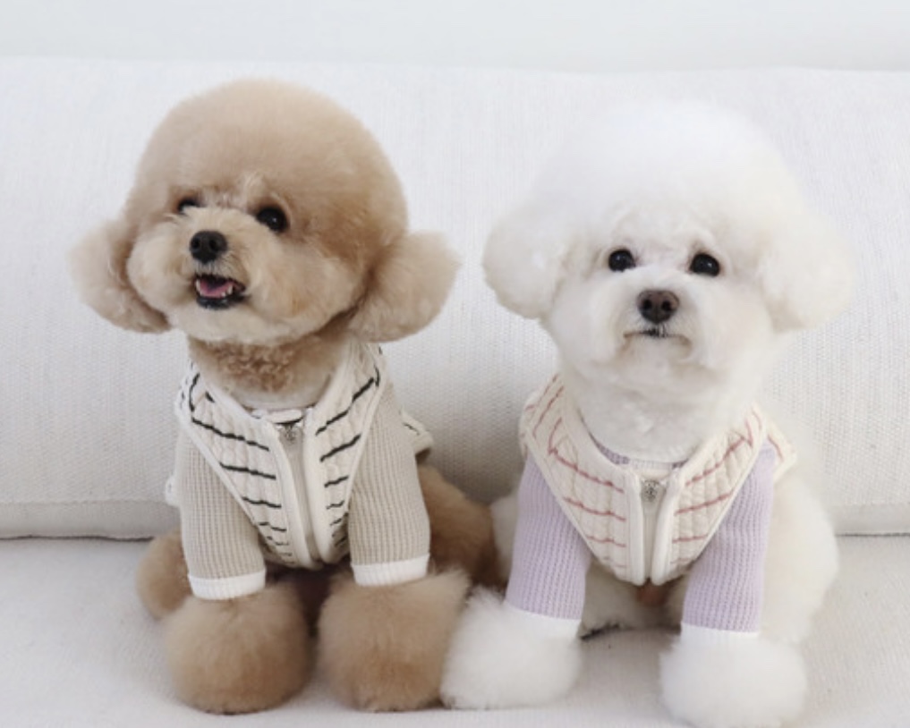 Chiot Bebe Cream Quilted Zip-Up Vest (Khaki)