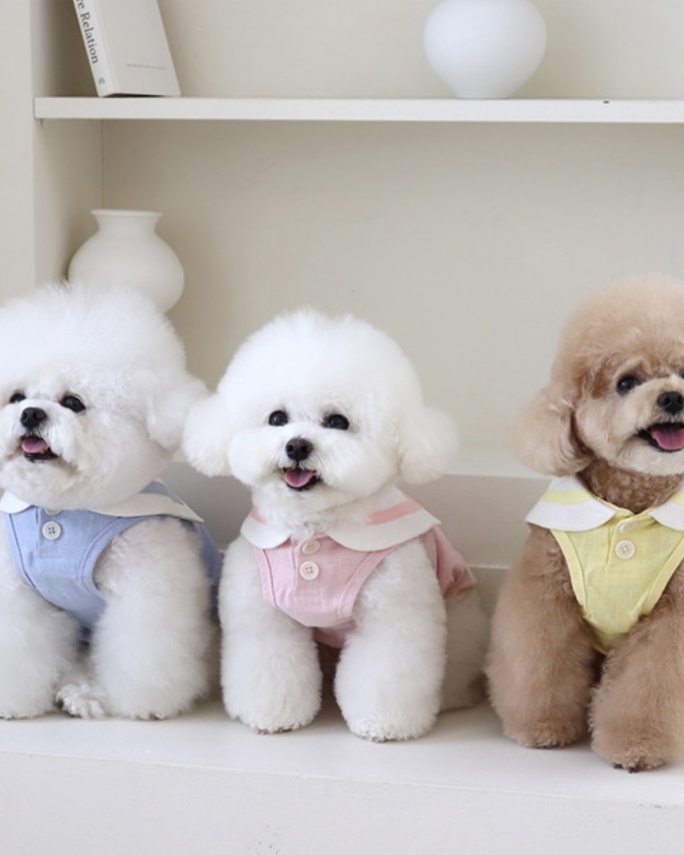 Pastel Linen Cape Top (Yellow)