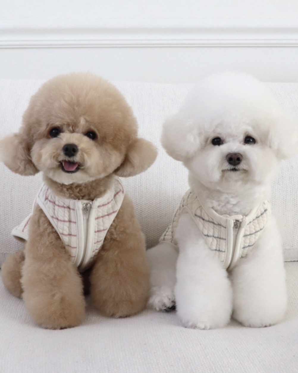 Chiot Bebe Cream Quilted Zip-Up Vest (Grey)