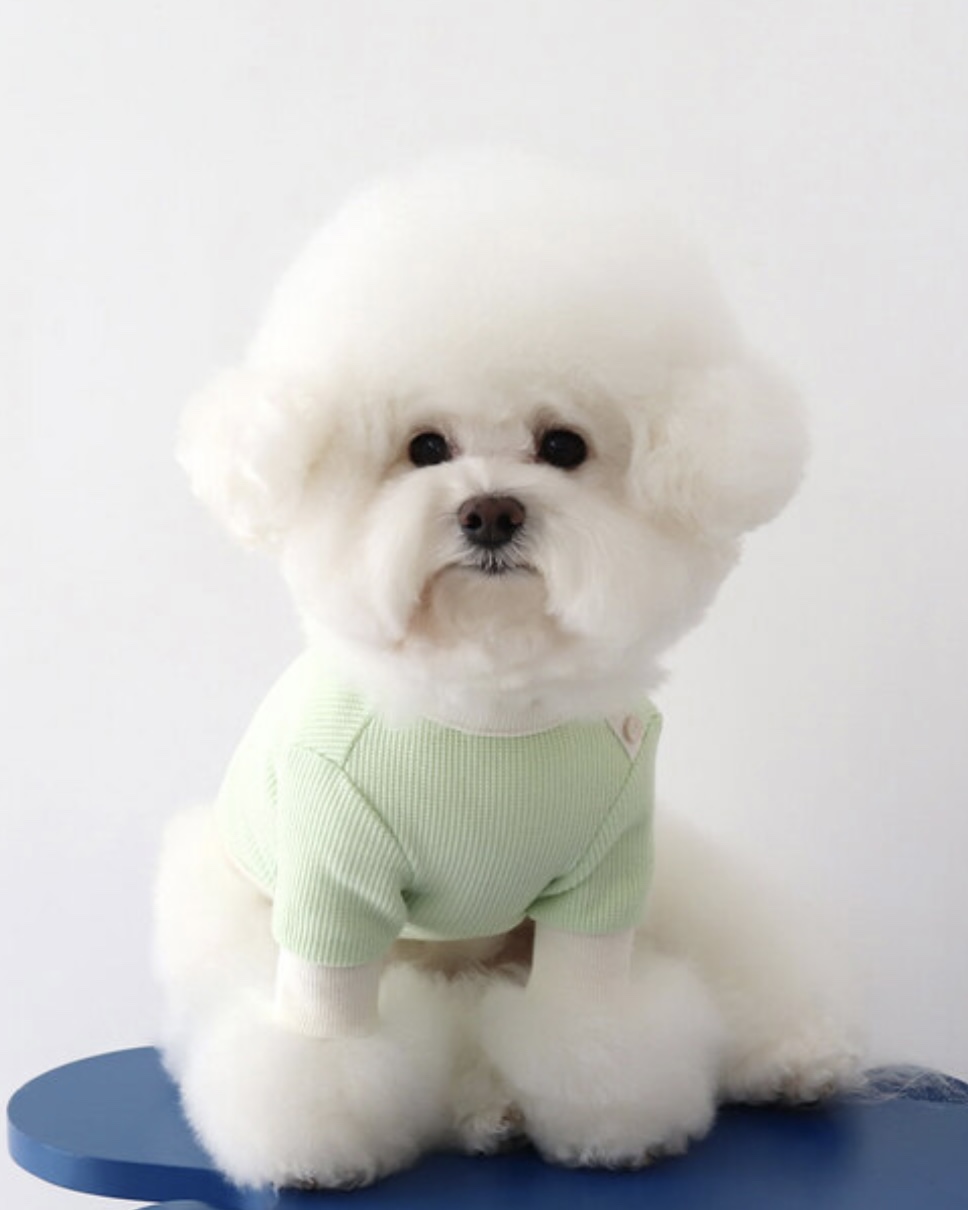 Sherbet Waffle T-Shirt (Milk Green)