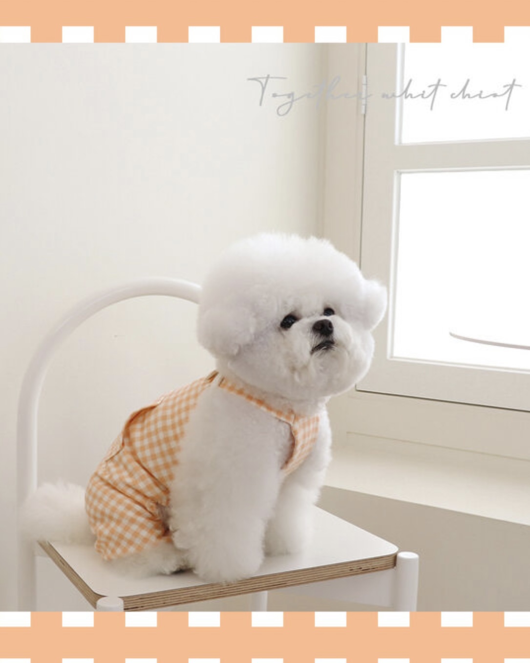 Chiot Together Check All in One Overall (Orange)