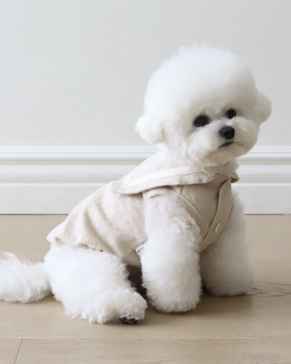 Pastel Linen Cape Top (Beige)