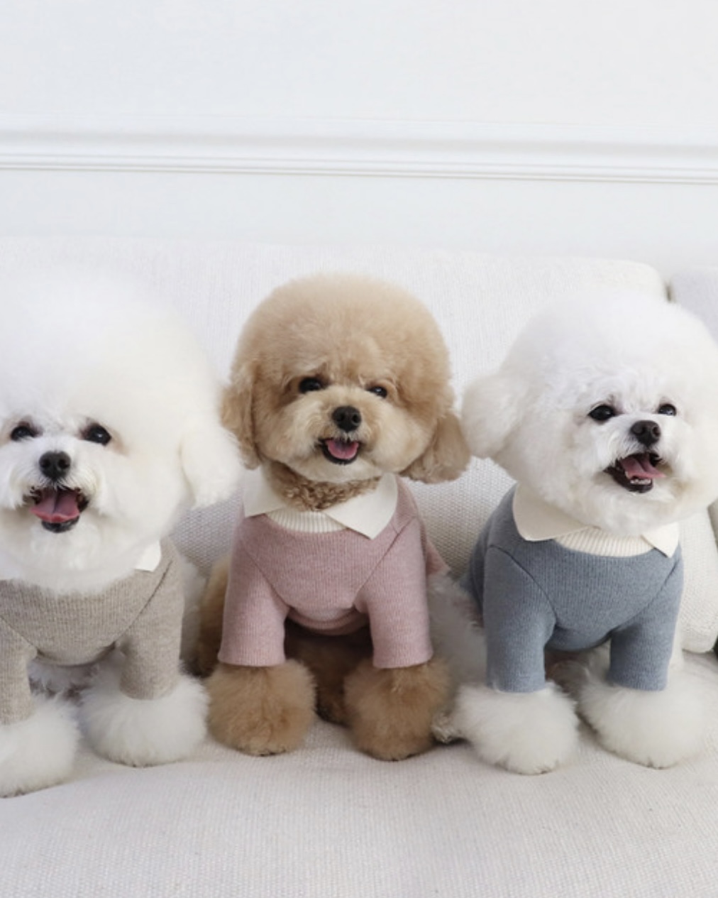 Chiot Blanc Knit Collar T-Shirt (Pink)