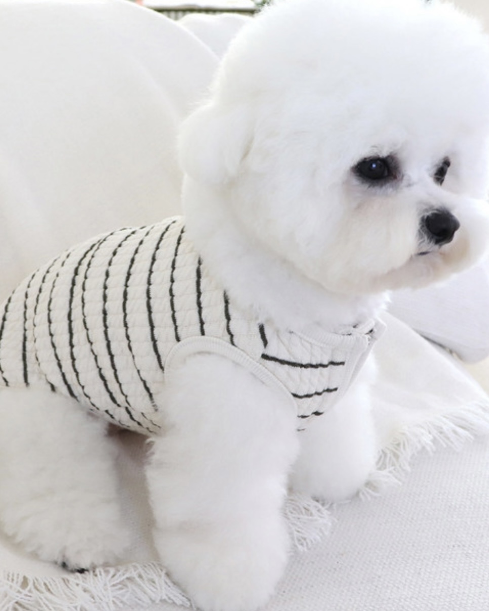 Chiot Bebe Cream Quilted Zip-Up Vest (Khaki)