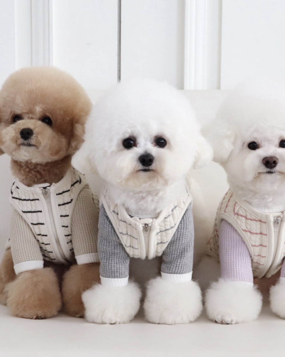 Chiot Bebe Cream Quilted Zip-Up Vest (Grey)