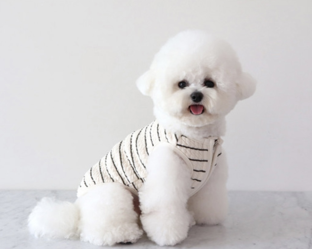 Chiot Bebe Cream Quilted Zip-Up Vest (Khaki)