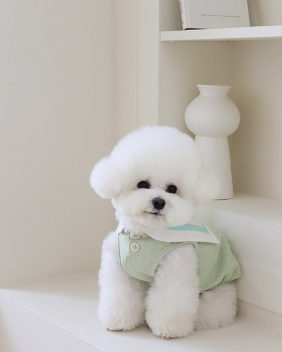 Pastel Linen Cape Top (Mint)