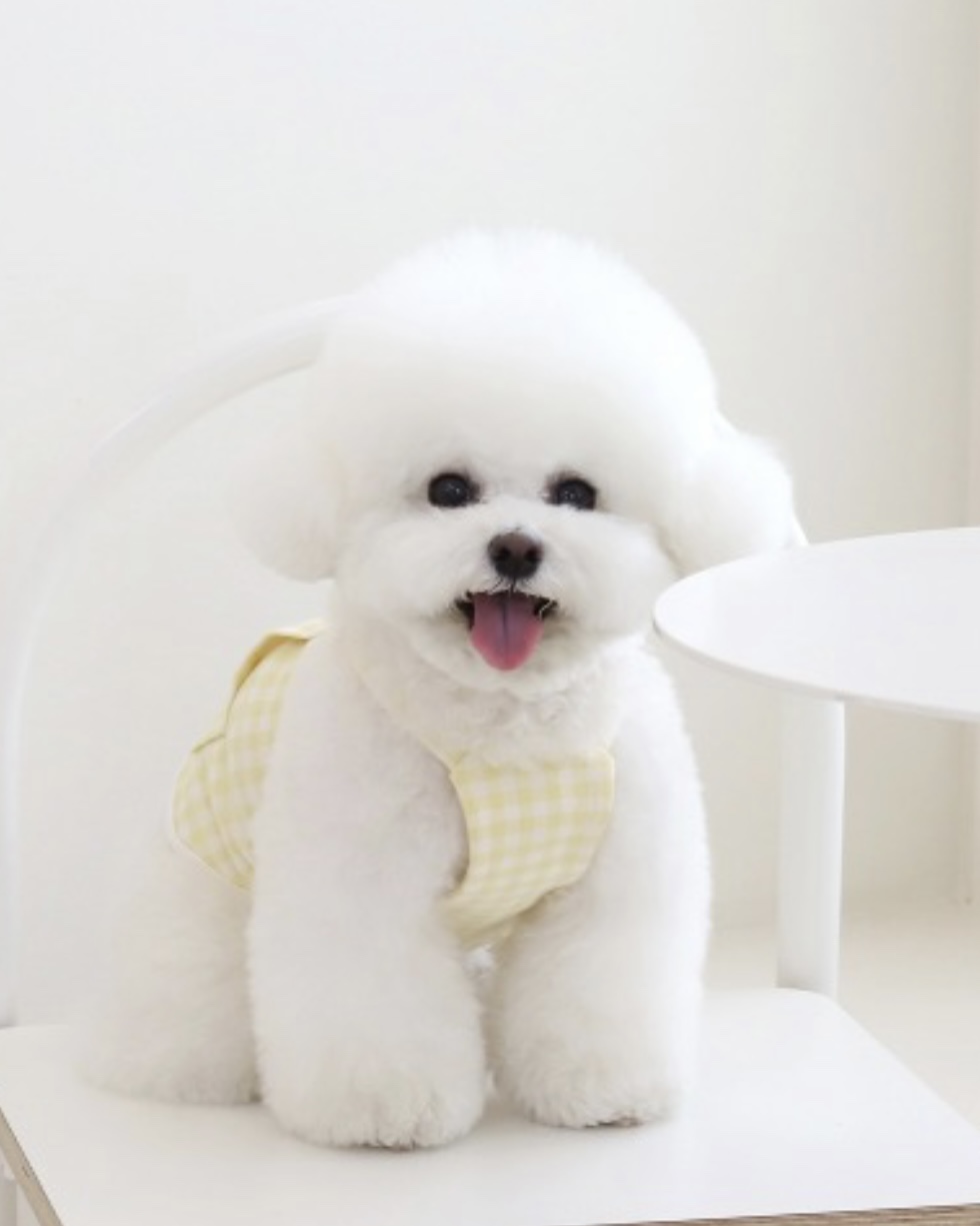 Chiot Together Check Crop Top Overall (Yellow)