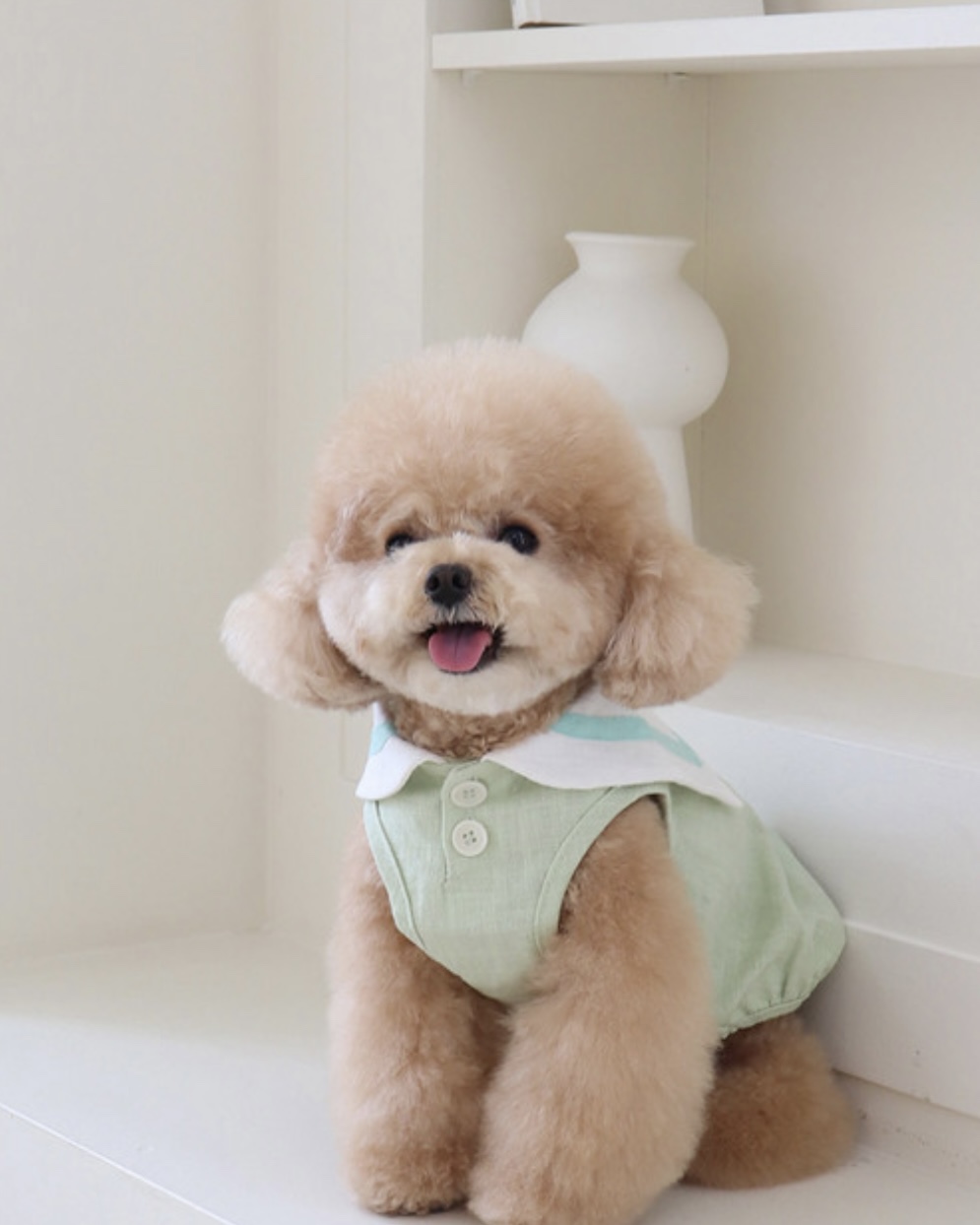 Pastel Linen Cape Top (Mint)