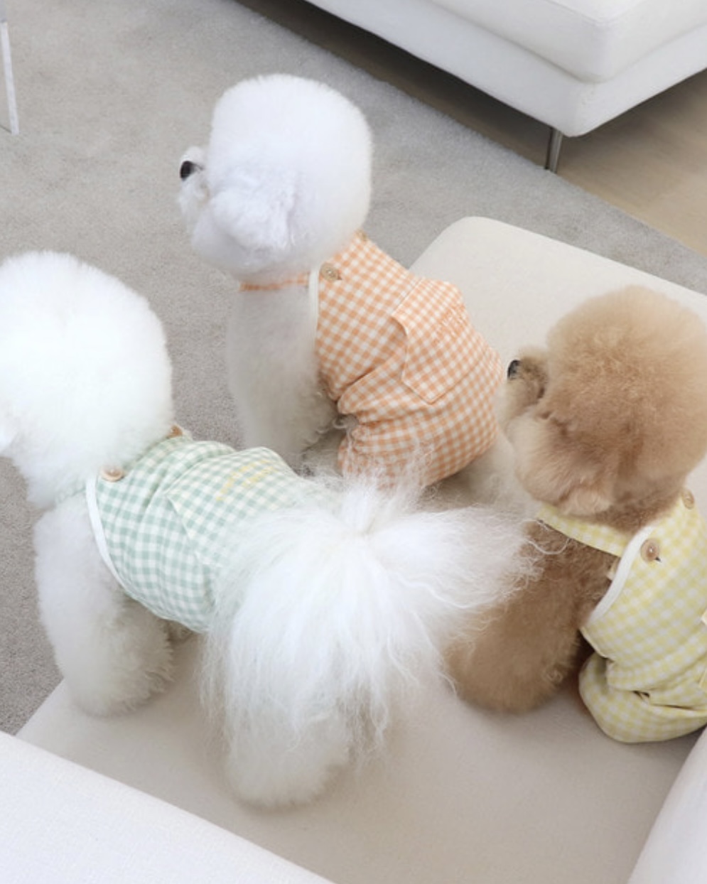 Chiot Together Check All in One Overall (Orange)