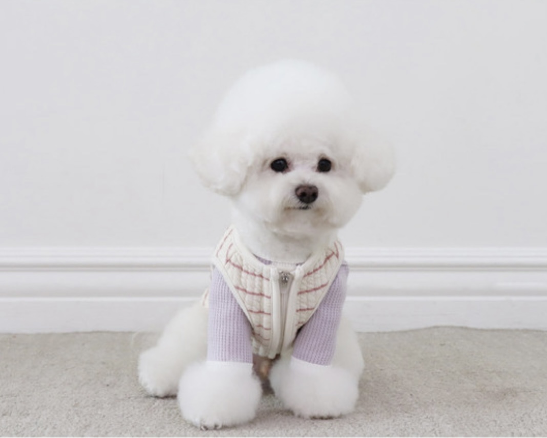 Chiot Bebe Cream Quilted Zip-Up Vest (Pink)