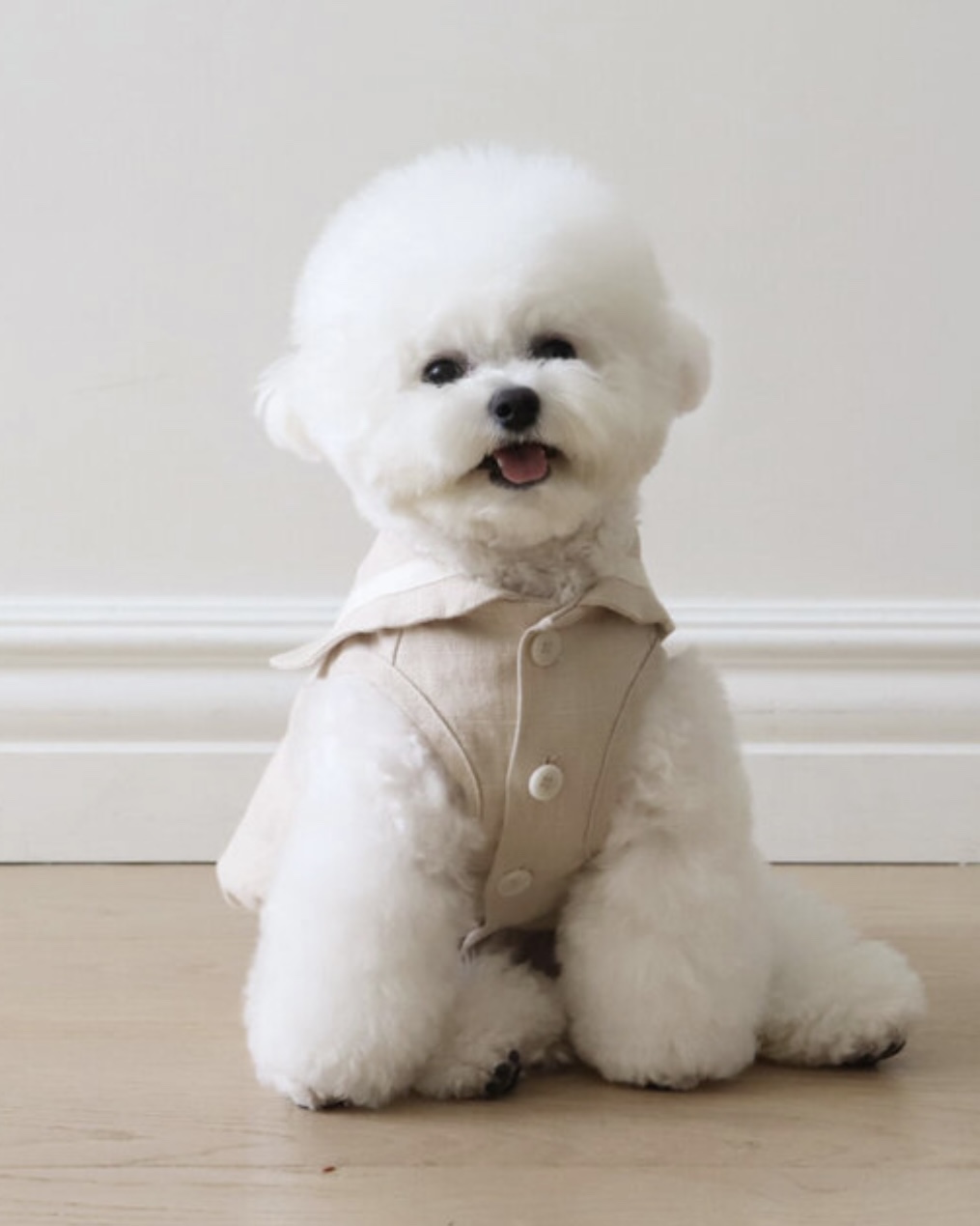 Pastel Linen Cape Top (Beige)