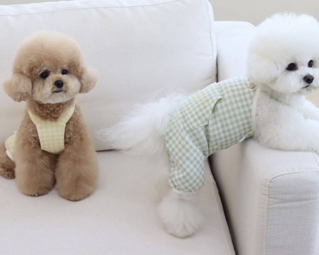 Chiot Together Check All in One Overall (Mint)