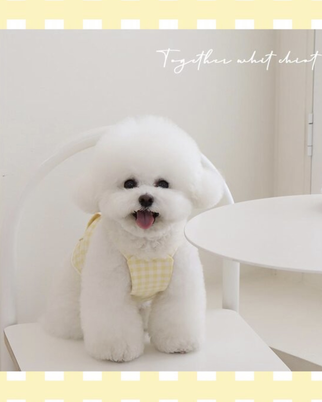 Chiot Together Check Crop Top Overall (Yellow)