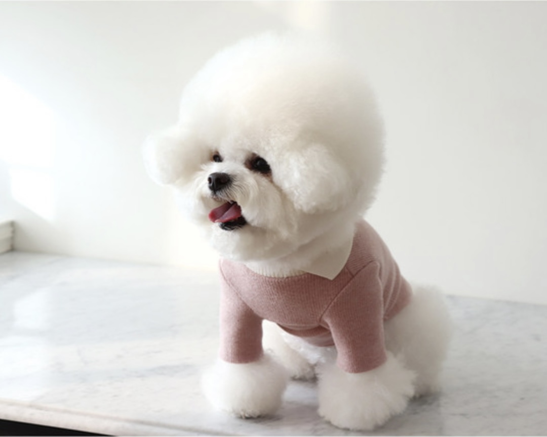 Chiot Blanc Knit Collar T-Shirt (Pink)