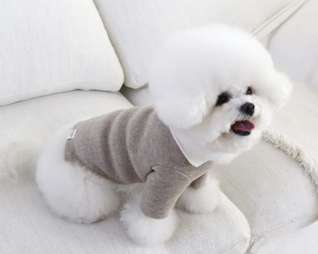 Chiot Blanc Knit Collar T-Shirt (Beige)