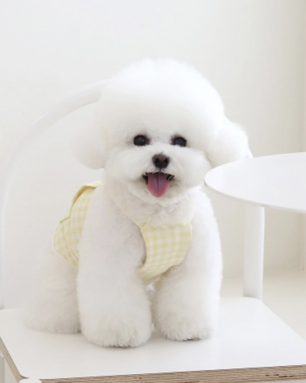 Together Check Crop Top Overall (Yellow)