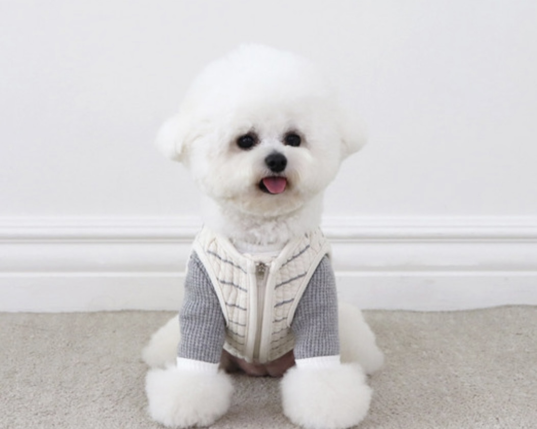 Chiot Bebe Cream Quilted Zip-Up Vest (Grey)