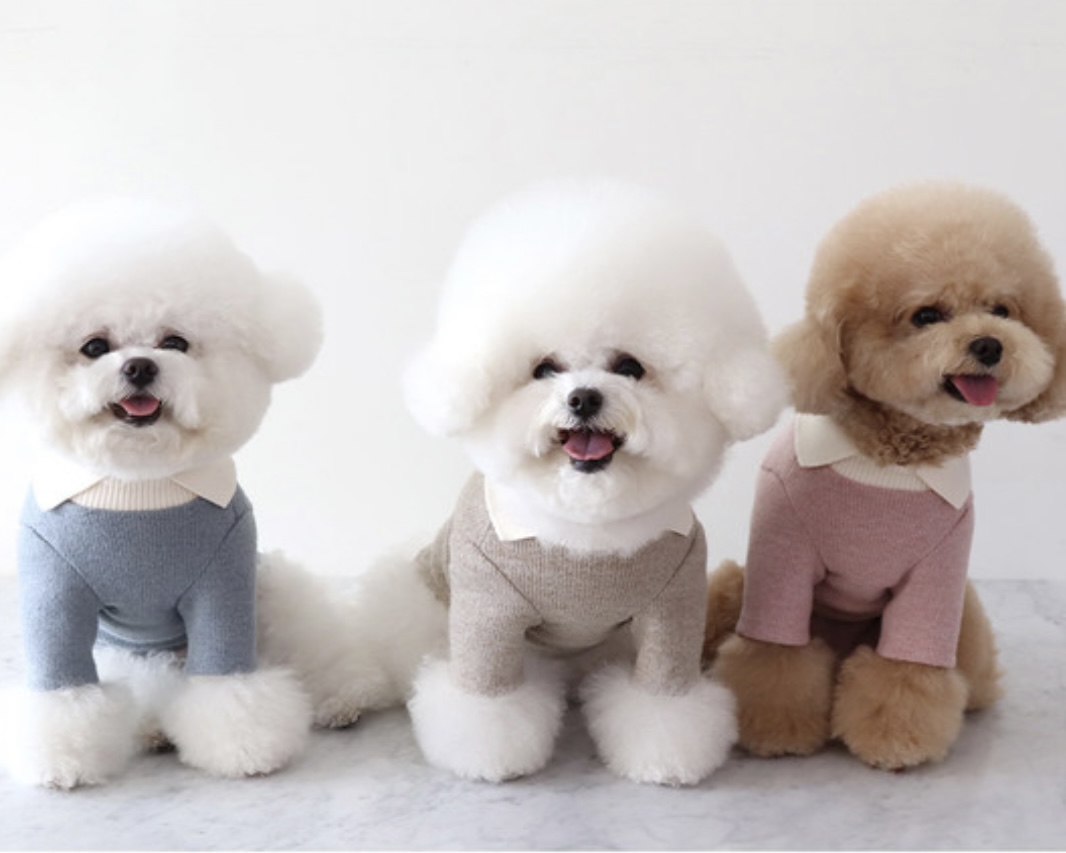 Chiot Blanc Knit Collar T-Shirt (Beige)