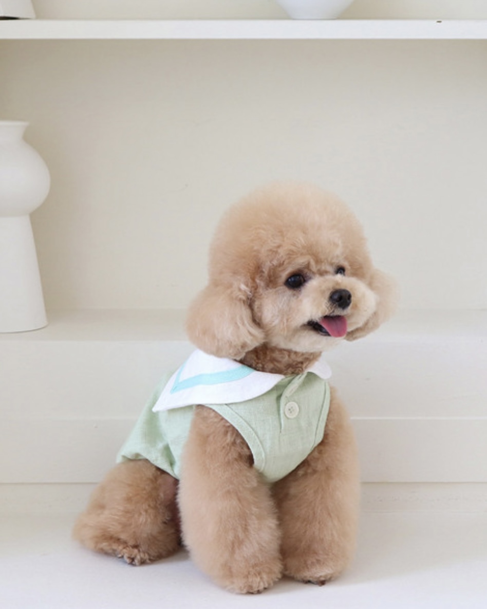 Pastel Linen Cape Top (Mint)