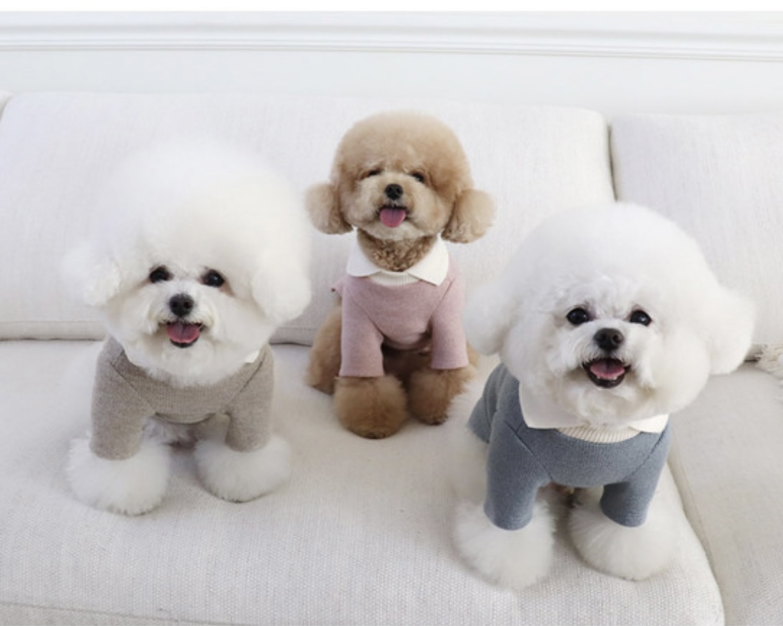 Chiot Blanc Knit Collar T-Shirt (Beige)