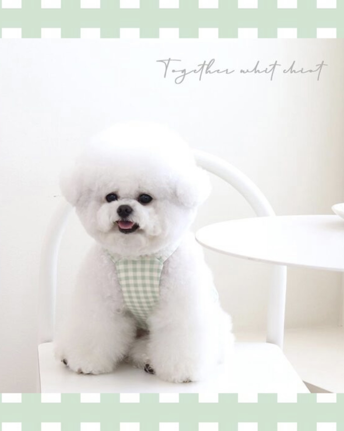 Chiot Together Check Crop Top Overall (Mint)