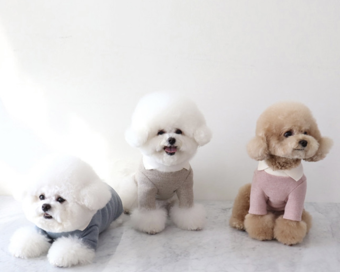 Chiot Blanc Knit Collar T-Shirt (Pink)