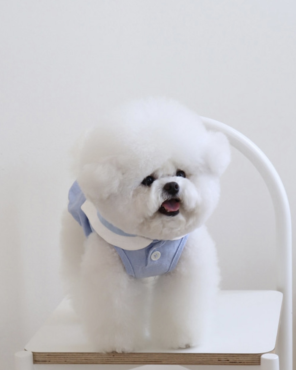 Pastel Linen Cape Top (Blue)