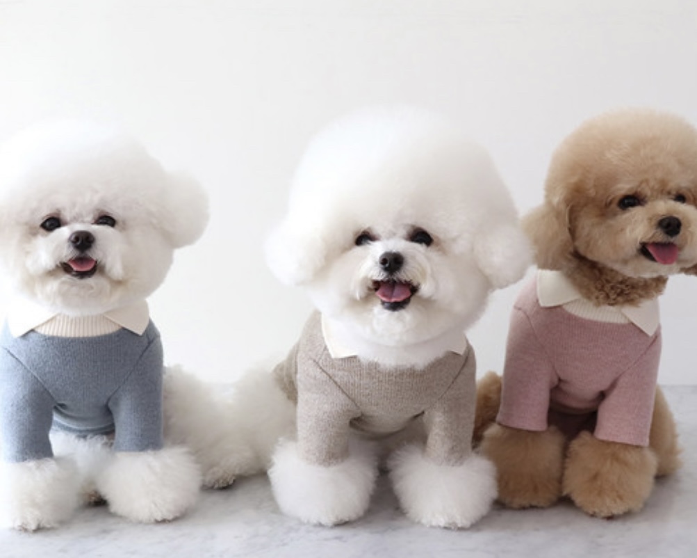 Chiot Blanc Knit Collar T-Shirt (Pink)