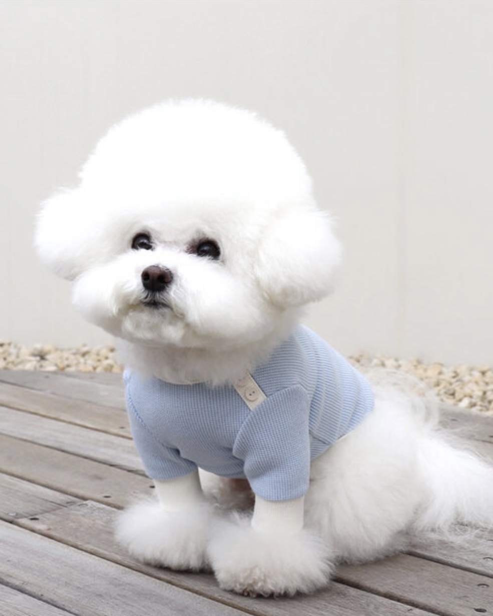 Sherbet Waffle T-Shirt (Blue)