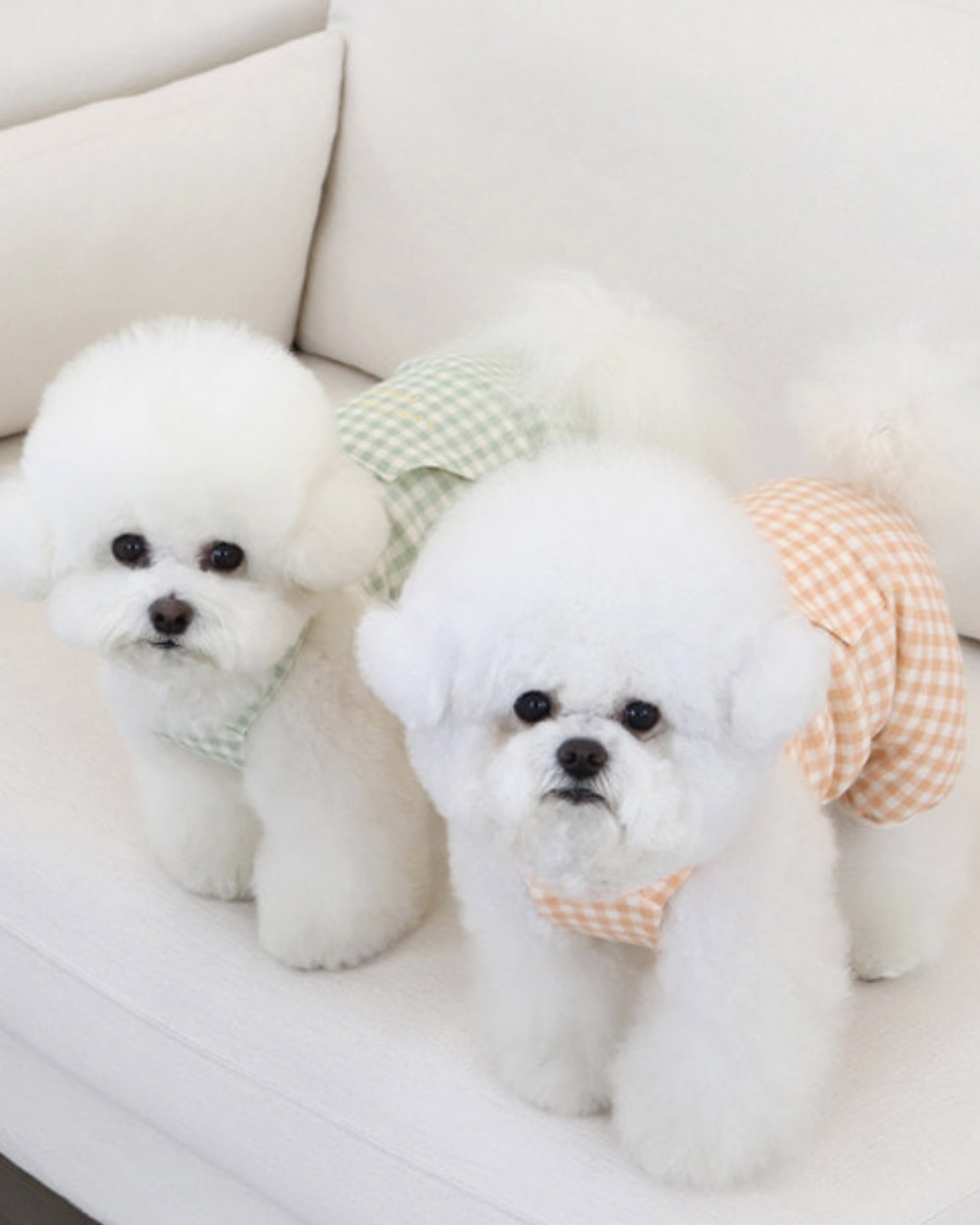 Chiot Together Check All in One Overall (Orange)