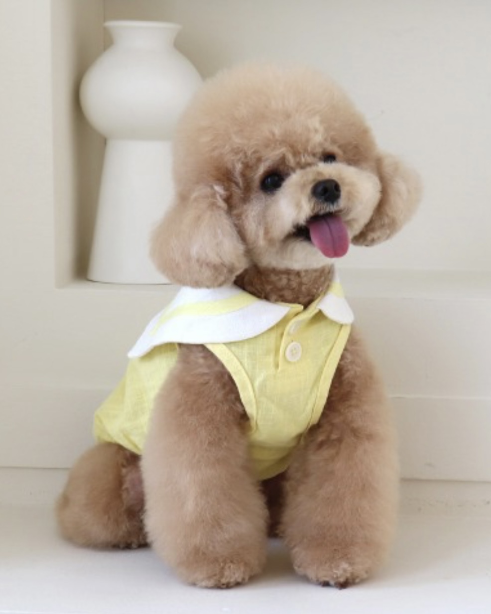 Pastel Linen Cape Top (Yellow)