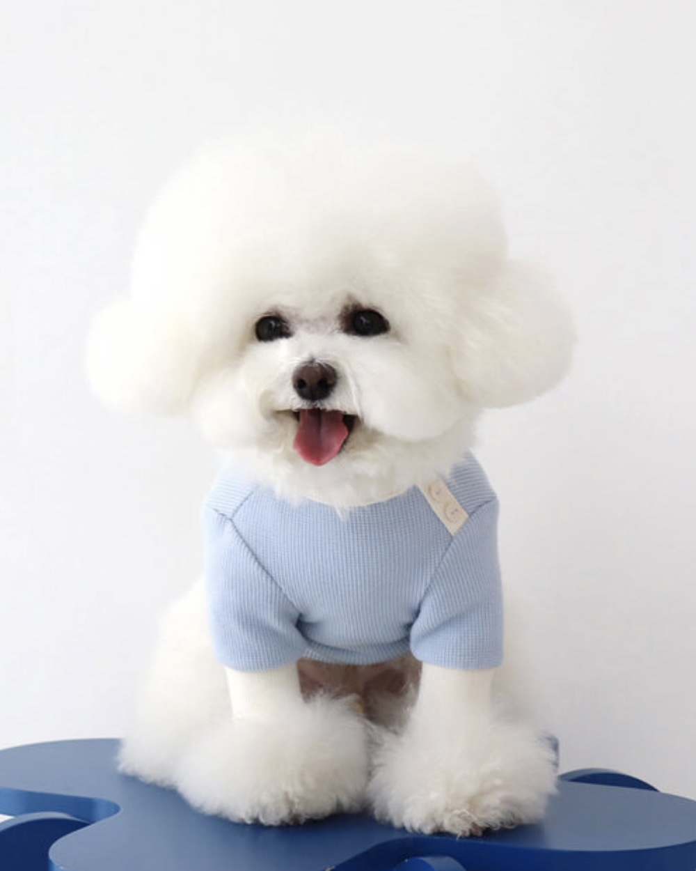 Sherbet Waffle T-Shirt (Blue)