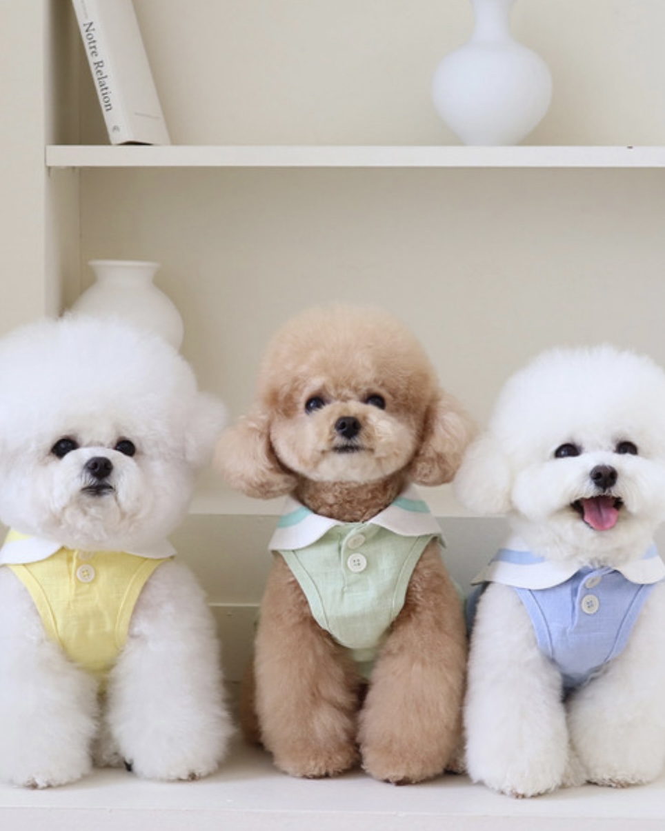 Pastel Linen Cape Top (Pink)