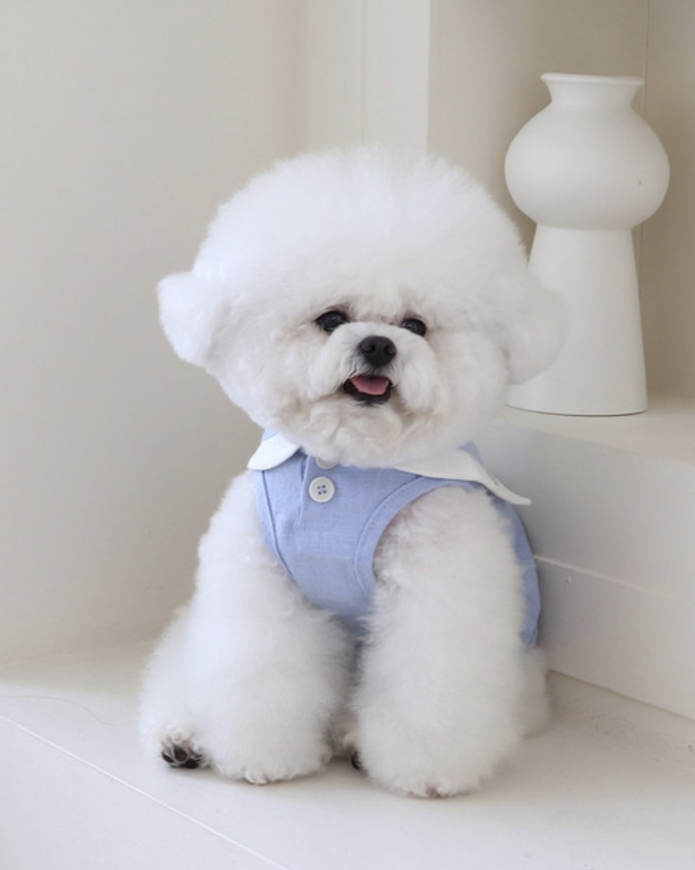 Pastel Linen Cape Top (Blue)