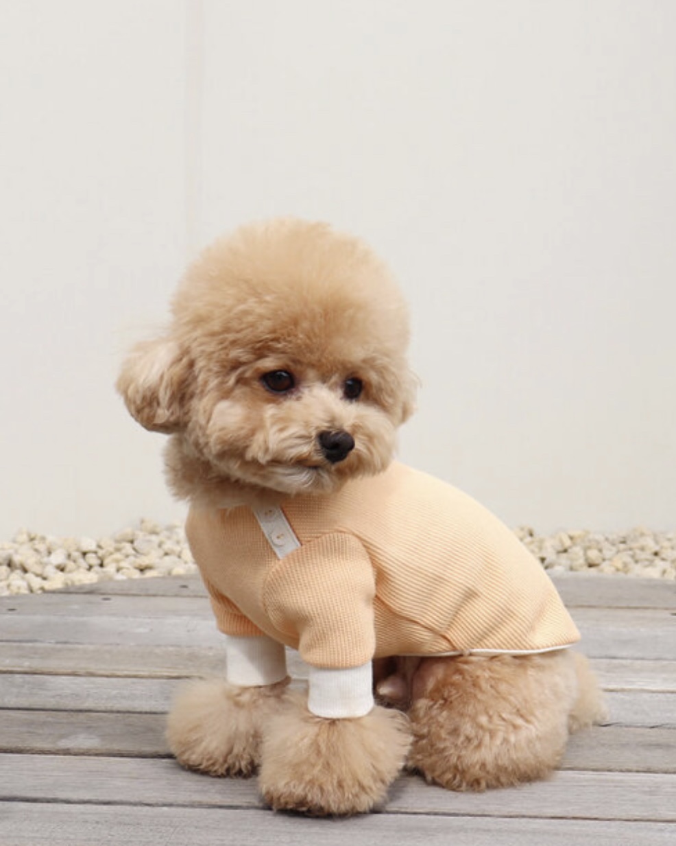 Sherbet Waffle T-Shirt (Orange)