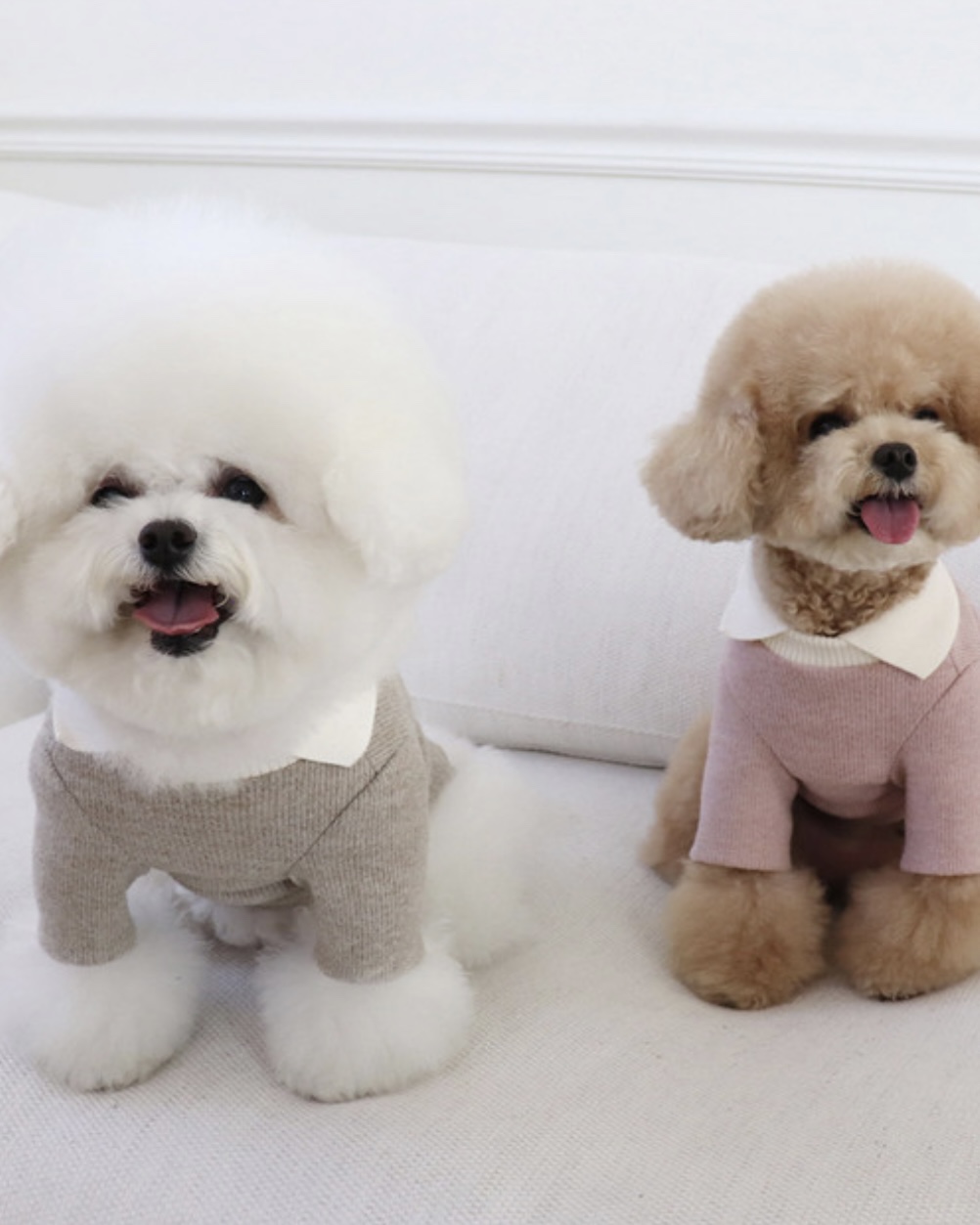 Chiot Blanc Knit Collar T-Shirt (Beige)