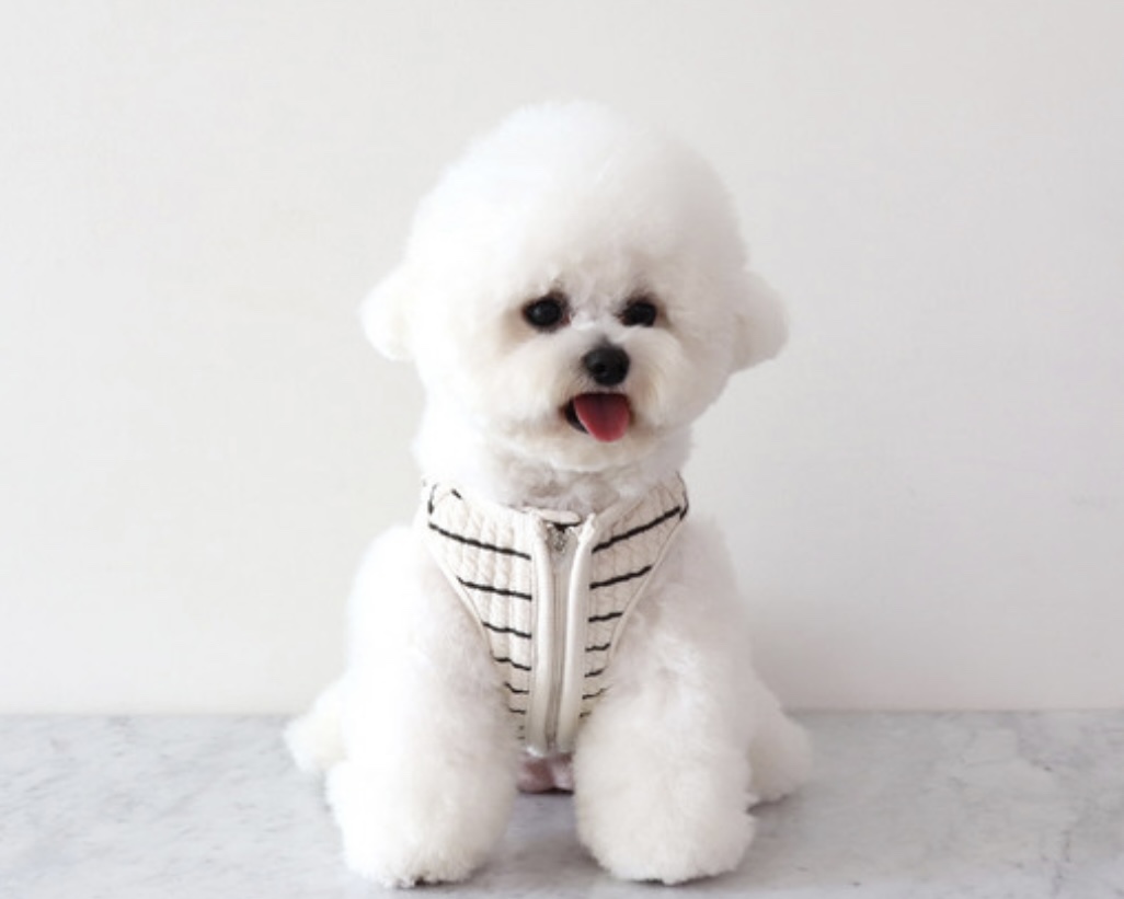 Chiot Bebe Cream Quilted Zip-Up Vest (Khaki)