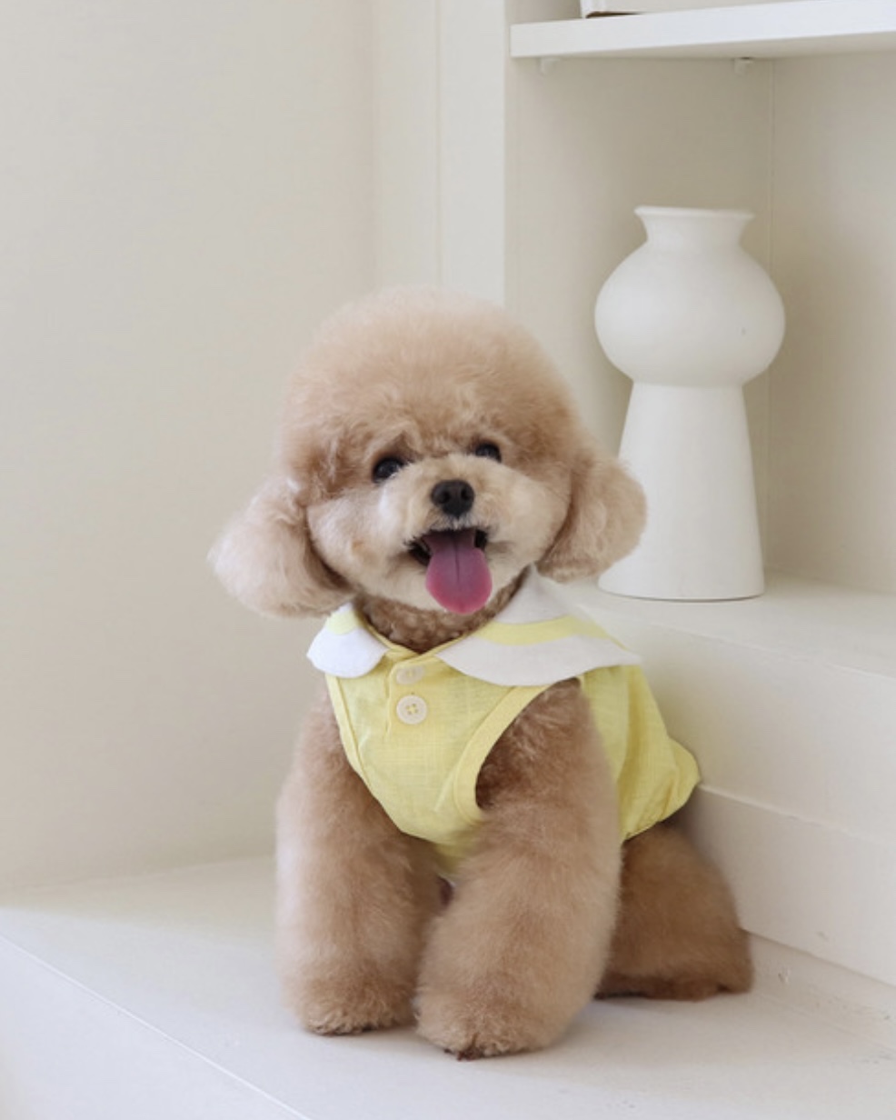 Pastel Linen Cape Top (Yellow)